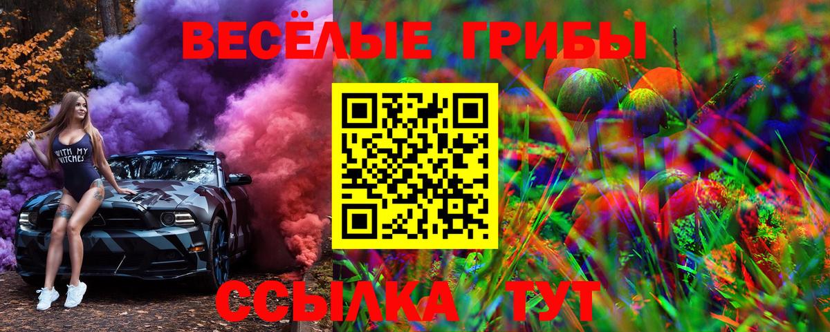 Псилоцибиновые грибы Magic Shrooms  Псилоцибиновые грибы Cubensis  Вход с VPN  Тобольск 