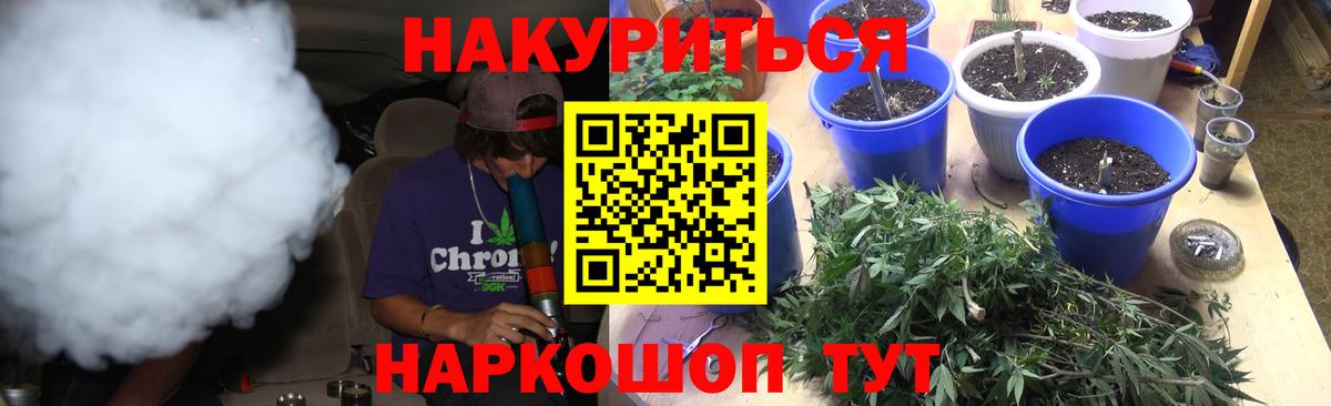 Конопля сатива Тобольск